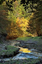 Il tesoro del torrente